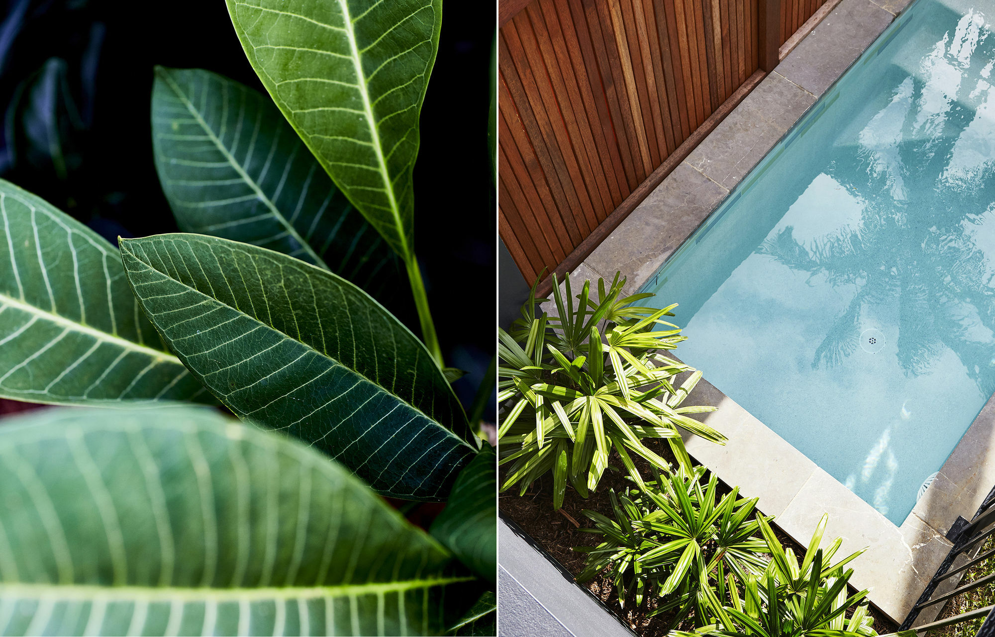 28 Degrees Byron Bay - Adults Only Hotel Exterior foto