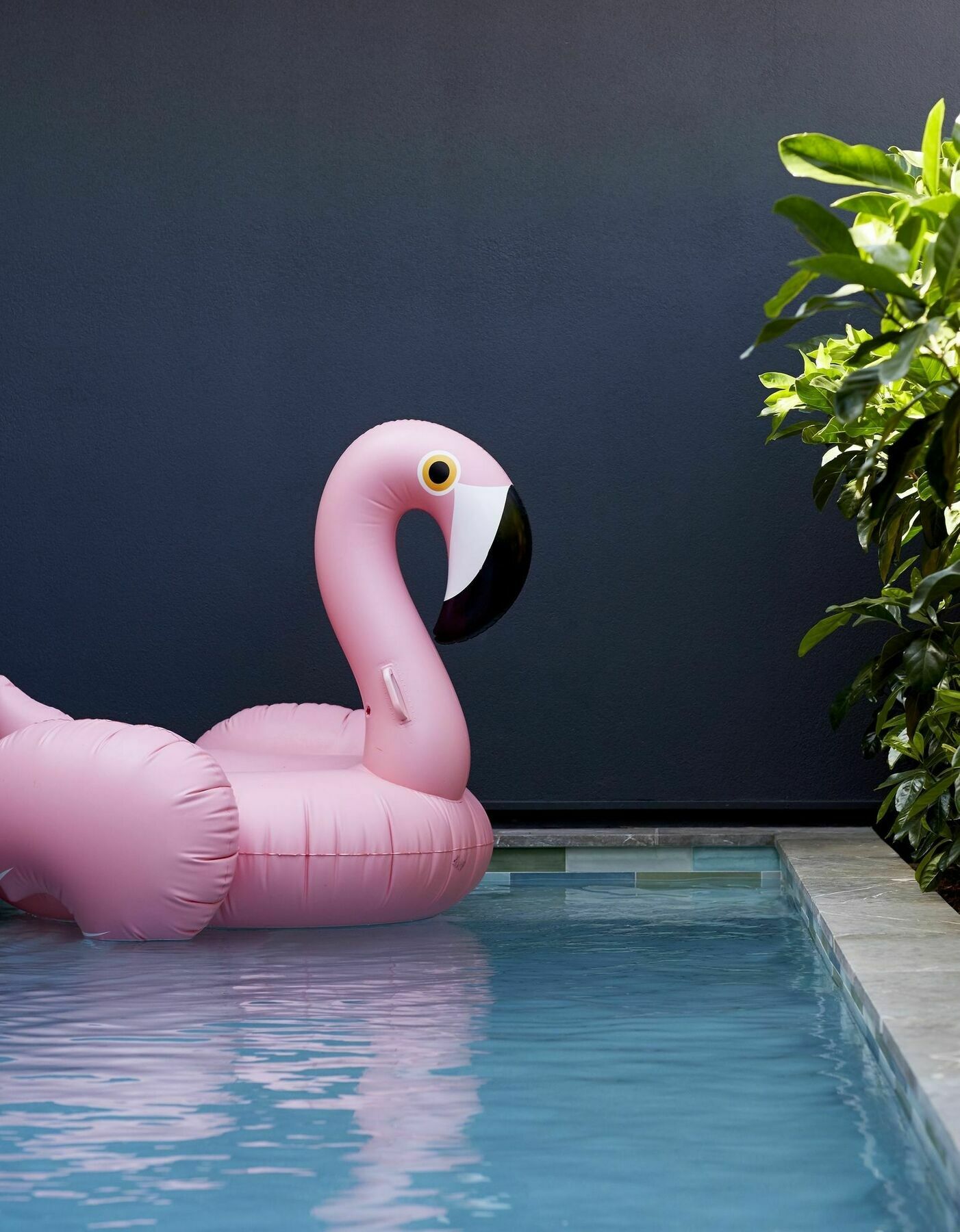 28 Degrees Byron Bay - Adults Only Hotel Exterior foto